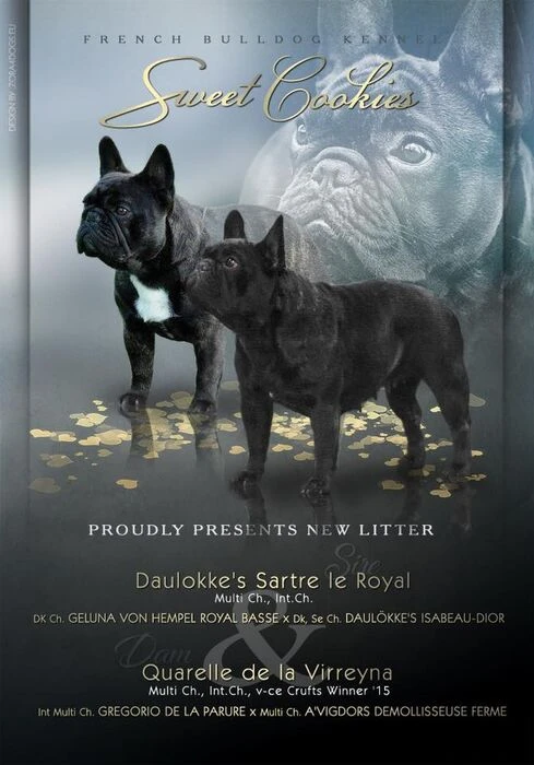 画像1567：ピーニャちゃん