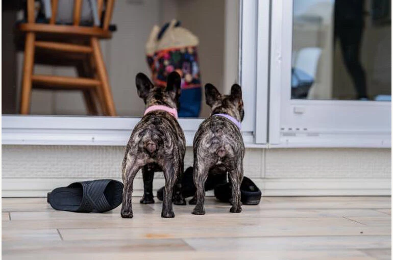 66F4F0D6-1856-4D1F-BBA3-2E3F6553028E